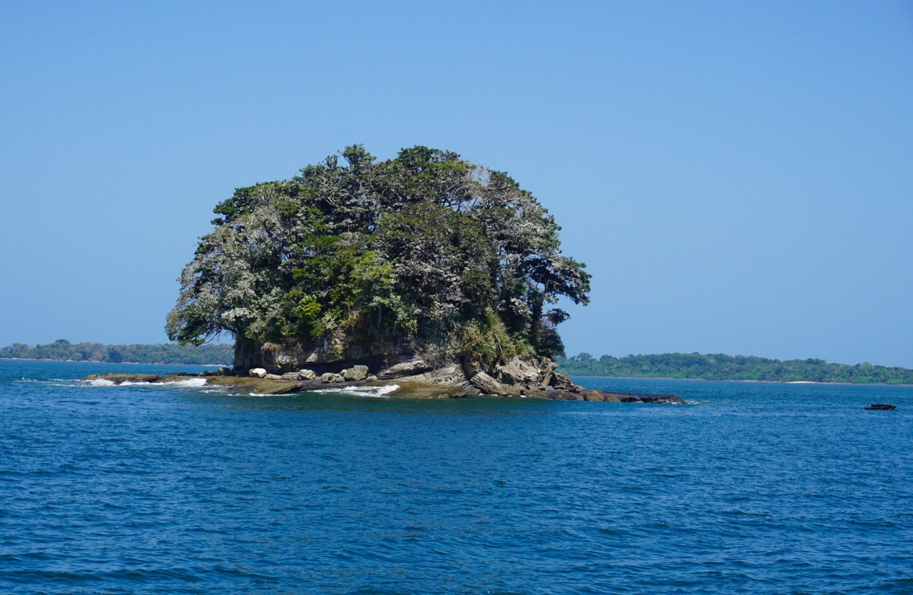 Desert Island – photo 2