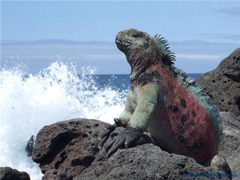 Pacific Ocean Expedition Plan – photo 11