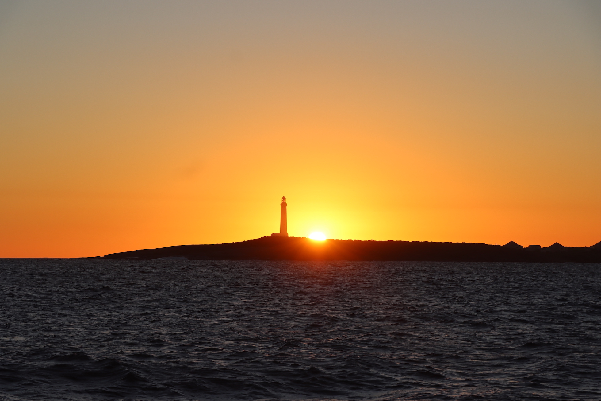 A Whale and the Expedition’s Final Interim Tally – photo 2