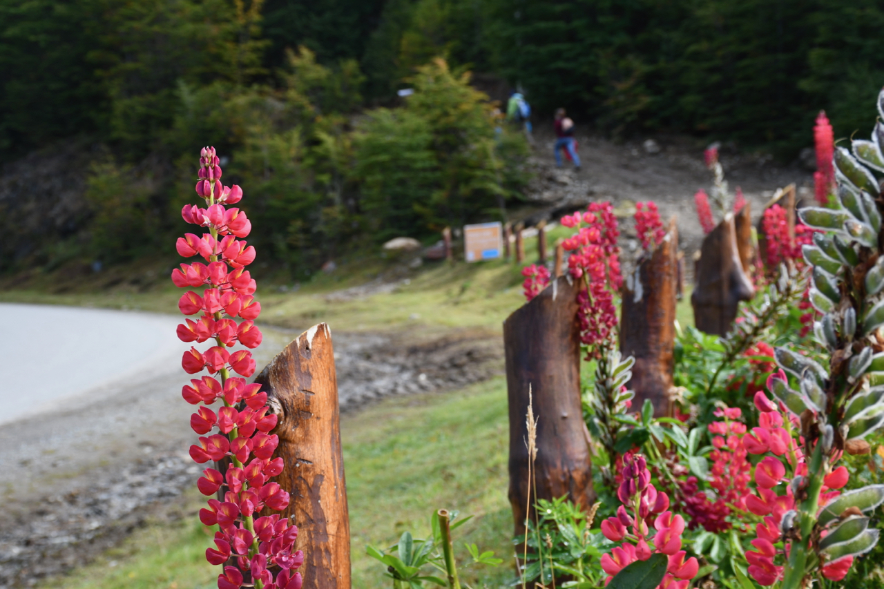 + Backpack – Wallet = Tierra del Fuego. Real Travellers’ Stories – photo 8