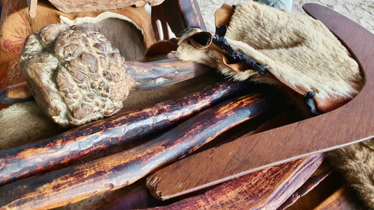 Koalas, Aboriginal People, and the Primal Instinct – photo 10