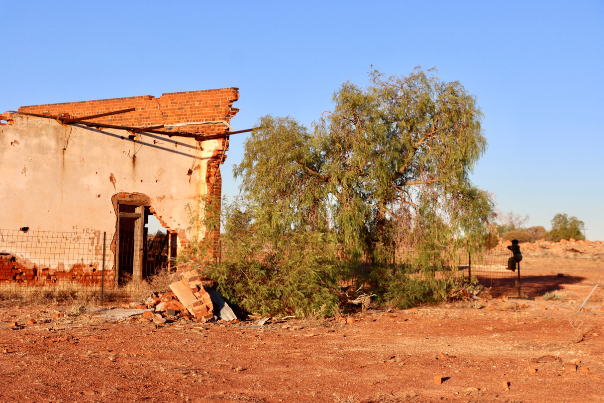 Dead Town – photo 7
