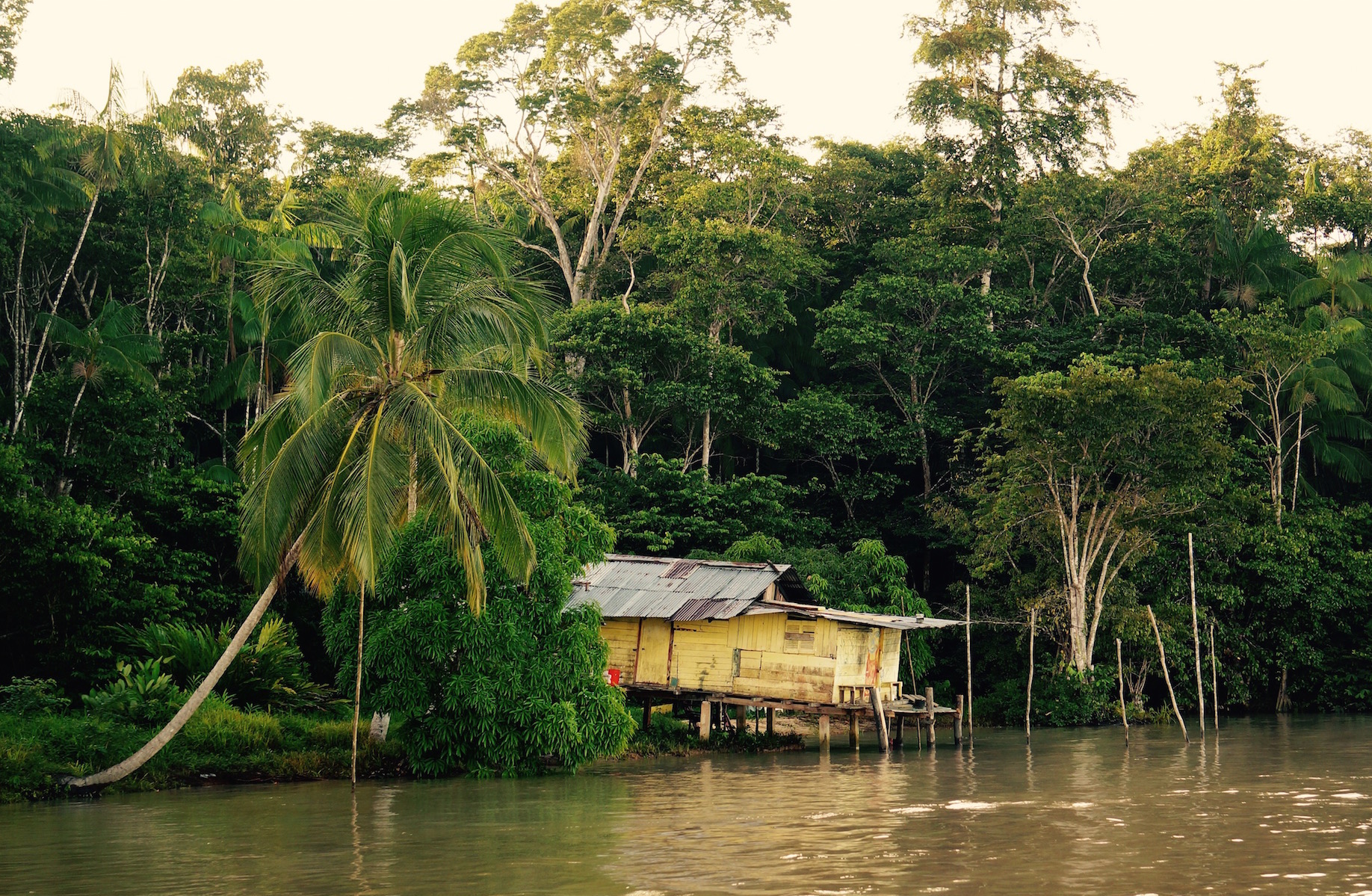 Passage from French Guiana to the Caribbean. Days 1–3 – photo 2