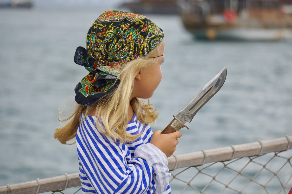A Sea of Birds and a Round-the-World Regatta – photo 7