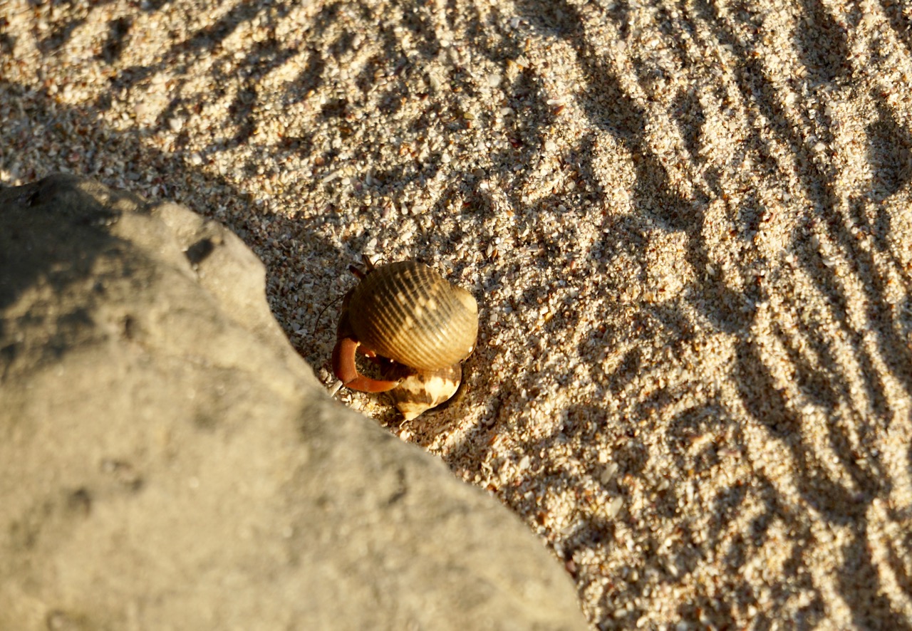 Desert Island – photo 7