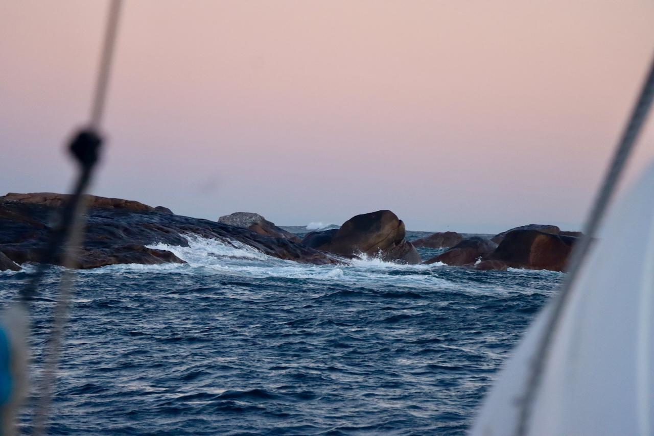 A Whale and the Expedition’s Final Interim Tally – photo 6