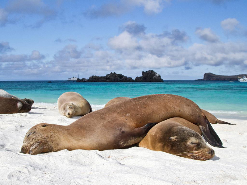 Pacific Ocean Expedition Plan – photo 10