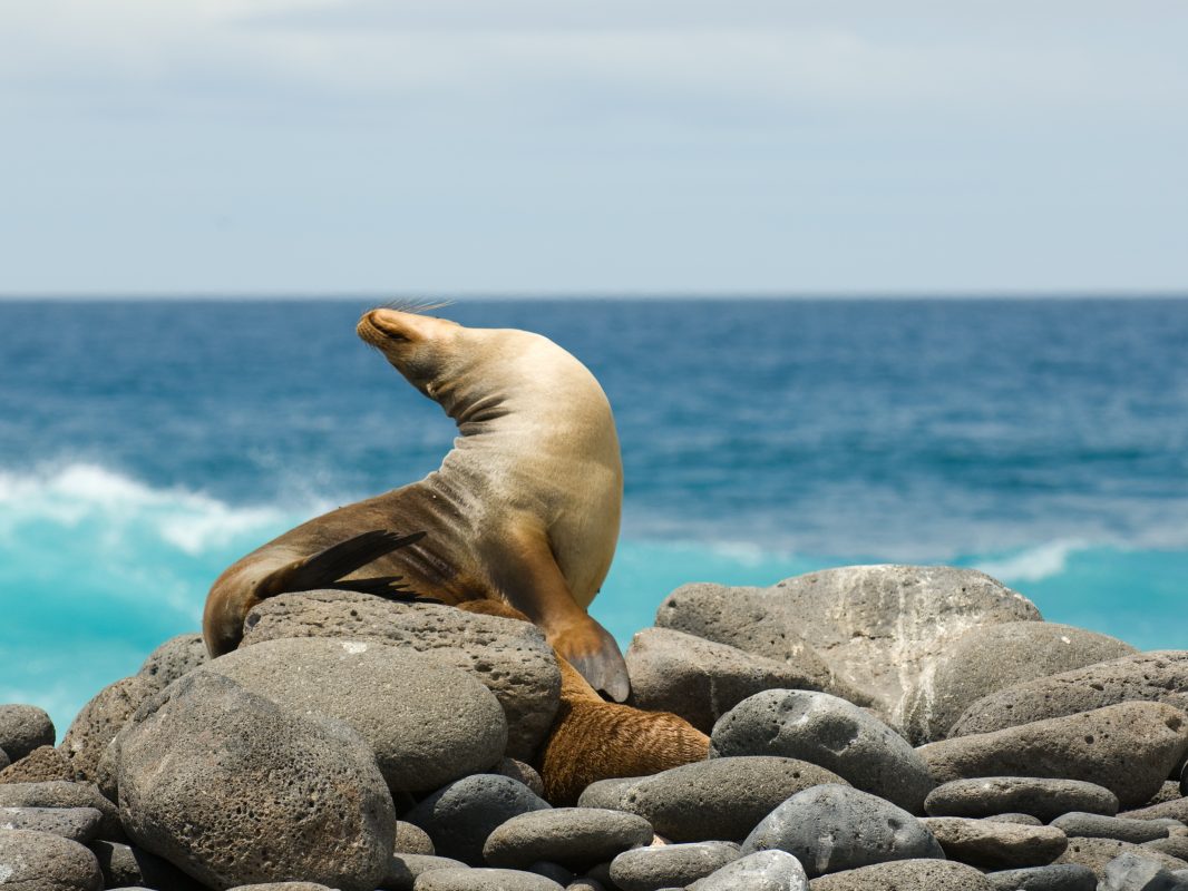 Pacific Ocean Expedition Plan – photo 7