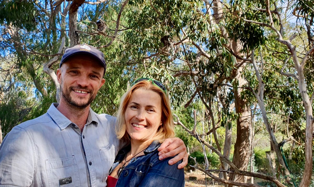 Koalas, Aboriginal People, and the Primal Instinct – photo 7