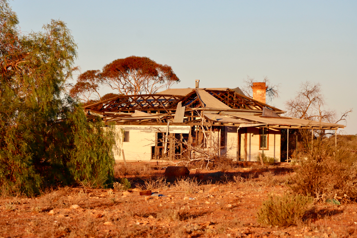 Dead Town – photo 11