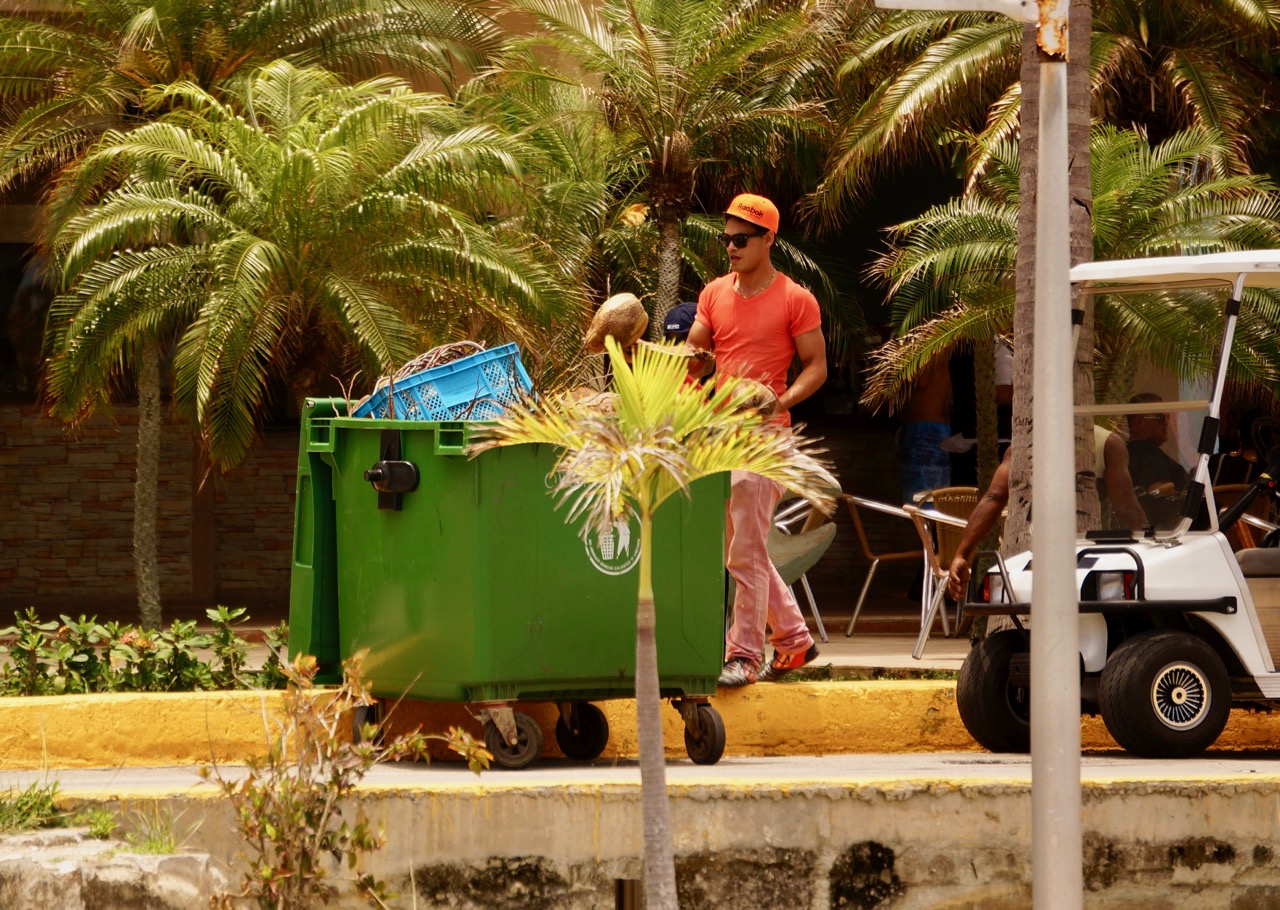We’re Leaving for the Yucatán – photo 4
