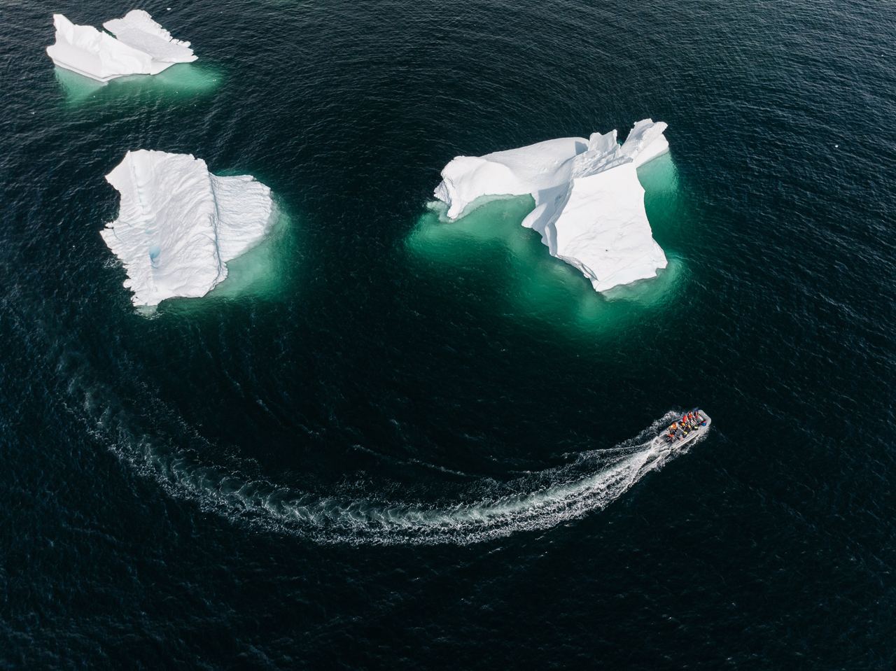 Идем в Антарктику! – фото 6