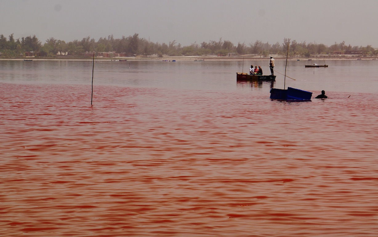 Розовое озеро. Сенегал