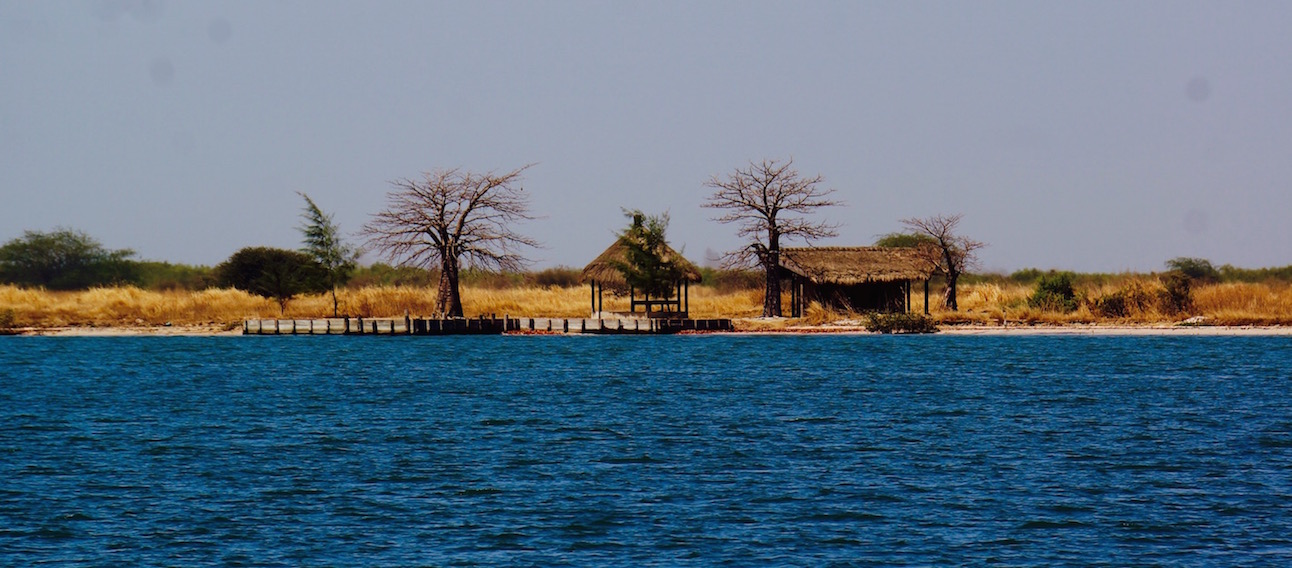 Река Салум. Сенегал