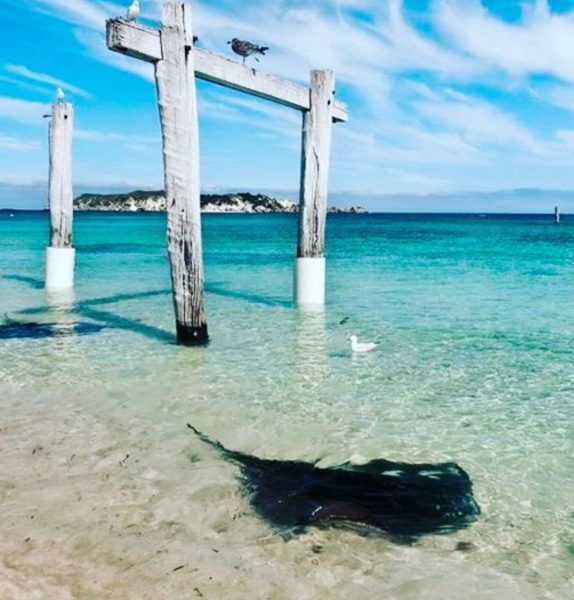 Hamelin bay с Travely-Family