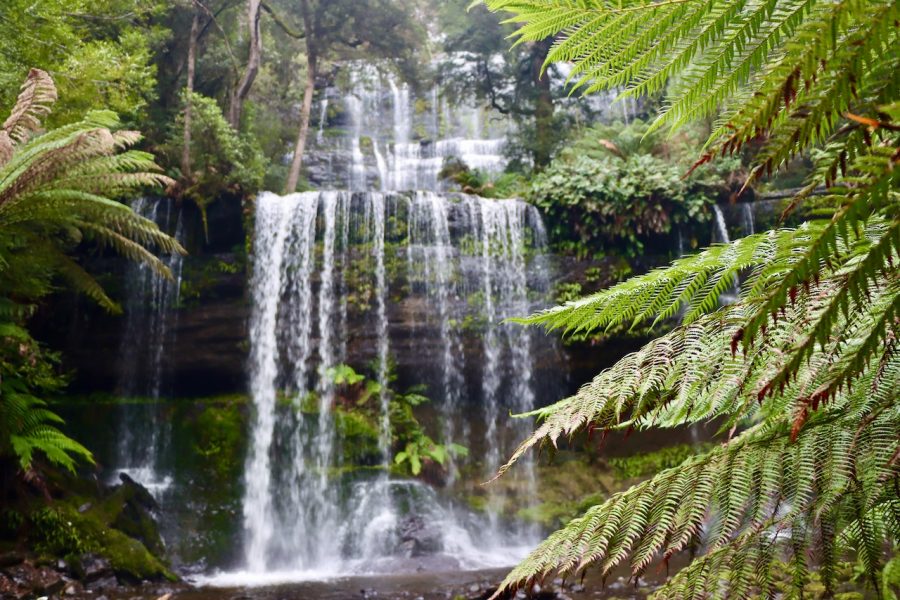 Водопад Рассел, Тасмания